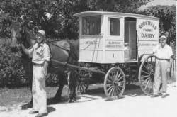 Horse-drawn Rodewald Farm Dairy wagon accompanied by two men